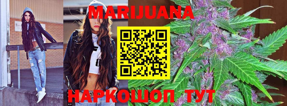 Каннабис OG Kush Сочи